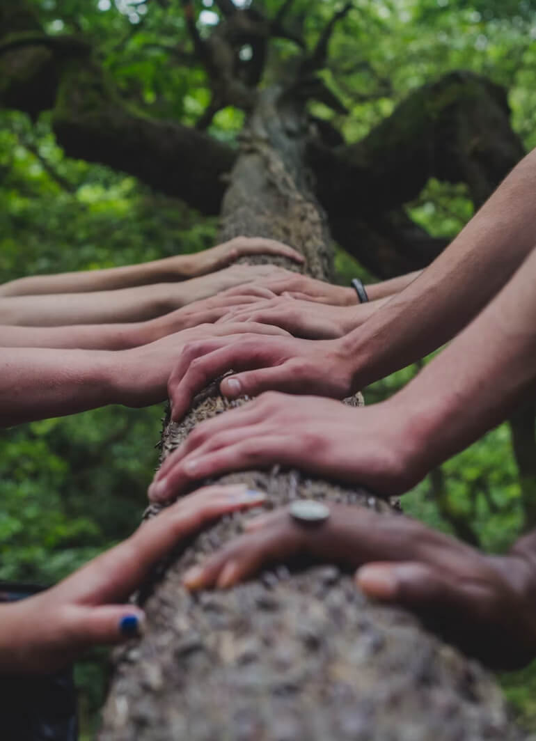 Hands on the log, showing the importance of peer support