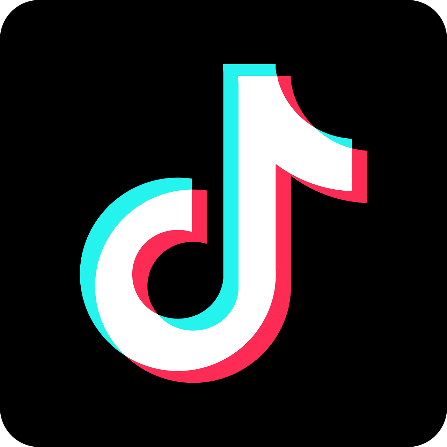 social media tiktok link, opens in new tab