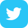 social media twitter link, opens in new tab